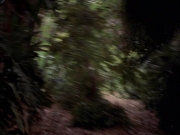 Filename=extant_StarTrek_VOY_7x09_7x10-FleshAndBlood_2652.jpg
Filesize=154KiB
Dimensions=1200x900
Date added=Jan 13, 2020 extant_StarTrek_VOY_7x09_7x10-FleshAndBlood_2652.jpg
