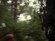 Filename=extant_StarTrek_VOY_7x09_7x10-FleshAndBlood_2655.jpg
Filesize=190KiB
Dimensions=1200x900
Date added=Jan 13, 2020 extant_StarTrek_VOY_7x09_7x10-FleshAndBlood_2655.jpg