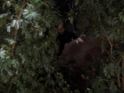 Filename=extant_StarTrek_VOY_7x09_7x10-FleshAndBlood_2660.jpg
Filesize=194KiB
Dimensions=1200x900
Date added=Jan 13, 2020 extant_StarTrek_VOY_7x09_7x10-FleshAndBlood_2660.jpg