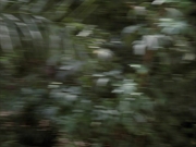 Filename=extant_StarTrek_VOY_7x09_7x10-FleshAndBlood_2663.jpg
Filesize=152KiB
Dimensions=1200x900
Date added=Jan 13, 2020 extant_StarTrek_VOY_7x09_7x10-FleshAndBlood_2663.jpg