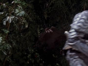 Filename=extant_StarTrek_VOY_7x09_7x10-FleshAndBlood_2670.jpg
Filesize=178KiB
Dimensions=1200x900
Date added=Jan 13, 2020 extant_StarTrek_VOY_7x09_7x10-FleshAndBlood_2670.jpg