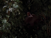 Filename=extant_StarTrek_VOY_7x09_7x10-FleshAndBlood_2671.jpg
Filesize=176KiB
Dimensions=1200x900
Date added=Jan 13, 2020 extant_StarTrek_VOY_7x09_7x10-FleshAndBlood_2671.jpg