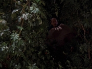 Filename=extant_StarTrek_VOY_7x09_7x10-FleshAndBlood_2672.jpg
Filesize=185KiB
Dimensions=1200x900
Date added=Jan 13, 2020 extant_StarTrek_VOY_7x09_7x10-FleshAndBlood_2672.jpg