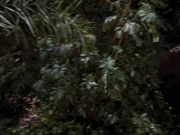 Filename=extant_StarTrek_VOY_7x09_7x10-FleshAndBlood_2675.jpg
Filesize=180KiB
Dimensions=1200x900
Date added=Jan 13, 2020 extant_StarTrek_VOY_7x09_7x10-FleshAndBlood_2675.jpg