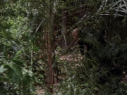 Filename=extant_StarTrek_VOY_7x09_7x10-FleshAndBlood_2677.jpg
Filesize=250KiB
Dimensions=1200x900
Date added=Jan 13, 2020 extant_StarTrek_VOY_7x09_7x10-FleshAndBlood_2677.jpg
