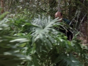 Filename=extant_StarTrek_VOY_7x09_7x10-FleshAndBlood_2679.jpg
Filesize=240KiB
Dimensions=1200x900
Date added=Jan 13, 2020 extant_StarTrek_VOY_7x09_7x10-FleshAndBlood_2679.jpg