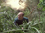 Filename=extant_StarTrek_VOY_7x09_7x10-FleshAndBlood_2686.jpg
Filesize=289KiB
Dimensions=1200x900
Date added=Jan 13, 2020 extant_StarTrek_VOY_7x09_7x10-FleshAndBlood_2686.jpg
