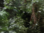 Filename=extant_StarTrek_VOY_7x09_7x10-FleshAndBlood_2693.jpg
Filesize=230KiB
Dimensions=1200x900
Date added=Jan 13, 2020 extant_StarTrek_VOY_7x09_7x10-FleshAndBlood_2693.jpg
