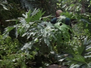 Filename=extant_StarTrek_VOY_7x09_7x10-FleshAndBlood_2694.jpg
Filesize=266KiB
Dimensions=1200x900
Date added=Jan 13, 2020 extant_StarTrek_VOY_7x09_7x10-FleshAndBlood_2694.jpg