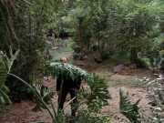 Filename=extant_StarTrek_VOY_7x09_7x10-FleshAndBlood_2711.jpg
Filesize=289KiB
Dimensions=1200x900
Date added=Jan 13, 2020 extant_StarTrek_VOY_7x09_7x10-FleshAndBlood_2711.jpg