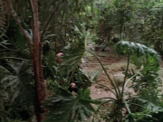 Filename=extant_StarTrek_VOY_7x09_7x10-FleshAndBlood_2714.jpg
Filesize=256KiB
Dimensions=1200x900
Date added=Jan 13, 2020 extant_StarTrek_VOY_7x09_7x10-FleshAndBlood_2714.jpg