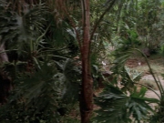 Filename=extant_StarTrek_VOY_7x09_7x10-FleshAndBlood_2715.jpg
Filesize=229KiB
Dimensions=1200x900
Date added=Jan 13, 2020 extant_StarTrek_VOY_7x09_7x10-FleshAndBlood_2715.jpg