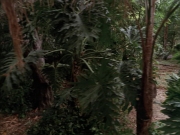Filename=extant_StarTrek_VOY_7x09_7x10-FleshAndBlood_2716.jpg
Filesize=210KiB
Dimensions=1200x900
Date added=Jan 13, 2020 extant_StarTrek_VOY_7x09_7x10-FleshAndBlood_2716.jpg