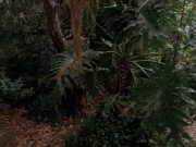 Filename=extant_StarTrek_VOY_7x09_7x10-FleshAndBlood_2717.jpg
Filesize=206KiB
Dimensions=1200x900
Date added=Jan 13, 2020 extant_StarTrek_VOY_7x09_7x10-FleshAndBlood_2717.jpg