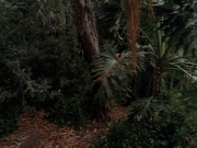 Filename=extant_StarTrek_VOY_7x09_7x10-FleshAndBlood_2718.jpg
Filesize=206KiB
Dimensions=1200x900
Date added=Jan 13, 2020 extant_StarTrek_VOY_7x09_7x10-FleshAndBlood_2718.jpg