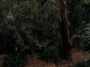 Filename=extant_StarTrek_VOY_7x09_7x10-FleshAndBlood_2720.jpg
Filesize=199KiB
Dimensions=1200x900
Date added=Jan 13, 2020 extant_StarTrek_VOY_7x09_7x10-FleshAndBlood_2720.jpg