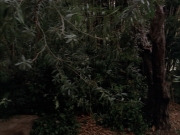 Filename=extant_StarTrek_VOY_7x09_7x10-FleshAndBlood_2721.jpg
Filesize=193KiB
Dimensions=1200x900
Date added=Jan 13, 2020 extant_StarTrek_VOY_7x09_7x10-FleshAndBlood_2721.jpg