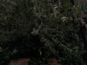 Filename=extant_StarTrek_VOY_7x09_7x10-FleshAndBlood_2722.jpg
Filesize=189KiB
Dimensions=1200x900
Date added=Jan 13, 2020 extant_StarTrek_VOY_7x09_7x10-FleshAndBlood_2722.jpg