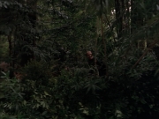 Filename=extant_StarTrek_VOY_7x09_7x10-FleshAndBlood_2725.jpg
Filesize=184KiB
Dimensions=1200x900
Date added=Jan 13, 2020 extant_StarTrek_VOY_7x09_7x10-FleshAndBlood_2725.jpg