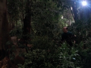 Filename=extant_StarTrek_VOY_7x09_7x10-FleshAndBlood_2728.jpg
Filesize=201KiB
Dimensions=1200x900
Date added=Jan 13, 2020 extant_StarTrek_VOY_7x09_7x10-FleshAndBlood_2728.jpg