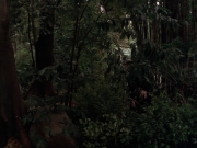 Filename=extant_StarTrek_VOY_7x09_7x10-FleshAndBlood_2730.jpg
Filesize=195KiB
Dimensions=1200x900
Date added=Jan 13, 2020 extant_StarTrek_VOY_7x09_7x10-FleshAndBlood_2730.jpg