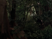 Filename=extant_StarTrek_VOY_7x09_7x10-FleshAndBlood_2731.jpg
Filesize=188KiB
Dimensions=1200x900
Date added=Jan 13, 2020 extant_StarTrek_VOY_7x09_7x10-FleshAndBlood_2731.jpg