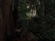 Filename=extant_StarTrek_VOY_7x09_7x10-FleshAndBlood_2732.jpg
Filesize=180KiB
Dimensions=1200x900
Date added=Jan 13, 2020 extant_StarTrek_VOY_7x09_7x10-FleshAndBlood_2732.jpg