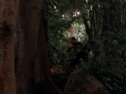 Filename=extant_StarTrek_VOY_7x09_7x10-FleshAndBlood_2733.jpg
Filesize=179KiB
Dimensions=1200x900
Date added=Jan 13, 2020 extant_StarTrek_VOY_7x09_7x10-FleshAndBlood_2733.jpg