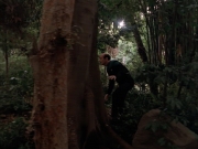 Filename=extant_StarTrek_VOY_7x09_7x10-FleshAndBlood_2734.jpg
Filesize=181KiB
Dimensions=1200x900
Date added=Jan 13, 2020 extant_StarTrek_VOY_7x09_7x10-FleshAndBlood_2734.jpg