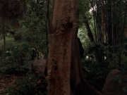 Filename=extant_StarTrek_VOY_7x09_7x10-FleshAndBlood_2735.jpg
Filesize=190KiB
Dimensions=1200x900
Date added=Jan 13, 2020 extant_StarTrek_VOY_7x09_7x10-FleshAndBlood_2735.jpg