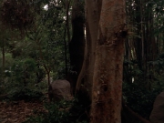 Filename=extant_StarTrek_VOY_7x09_7x10-FleshAndBlood_2736.jpg
Filesize=190KiB
Dimensions=1200x900
Date added=Jan 13, 2020 extant_StarTrek_VOY_7x09_7x10-FleshAndBlood_2736.jpg