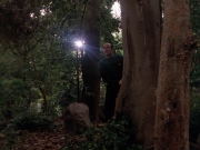 Filename=extant_StarTrek_VOY_7x09_7x10-FleshAndBlood_2738.jpg
Filesize=202KiB
Dimensions=1200x900
Date added=Jan 13, 2020 extant_StarTrek_VOY_7x09_7x10-FleshAndBlood_2738.jpg
