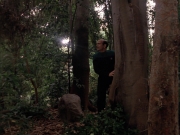 Filename=extant_StarTrek_VOY_7x09_7x10-FleshAndBlood_2739.jpg
Filesize=204KiB
Dimensions=1200x900
Date added=Jan 13, 2020 extant_StarTrek_VOY_7x09_7x10-FleshAndBlood_2739.jpg