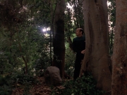 Filename=extant_StarTrek_VOY_7x09_7x10-FleshAndBlood_2741.jpg
Filesize=206KiB
Dimensions=1200x900
Date added=Jan 13, 2020 extant_StarTrek_VOY_7x09_7x10-FleshAndBlood_2741.jpg
