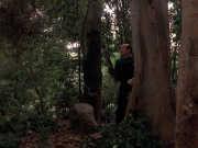 Filename=extant_StarTrek_VOY_7x09_7x10-FleshAndBlood_2742.jpg
Filesize=215KiB
Dimensions=1200x900
Date added=Jan 13, 2020 extant_StarTrek_VOY_7x09_7x10-FleshAndBlood_2742.jpg