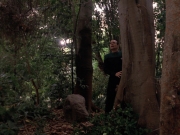 Filename=extant_StarTrek_VOY_7x09_7x10-FleshAndBlood_2744.jpg
Filesize=214KiB
Dimensions=1200x900
Date added=Jan 13, 2020 extant_StarTrek_VOY_7x09_7x10-FleshAndBlood_2744.jpg