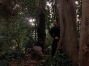Filename=extant_StarTrek_VOY_7x09_7x10-FleshAndBlood_2745.jpg
Filesize=218KiB
Dimensions=1200x900
Date added=Jan 13, 2020 extant_StarTrek_VOY_7x09_7x10-FleshAndBlood_2745.jpg