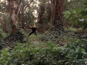 Filename=extant_StarTrek_VOY_7x09_7x10-FleshAndBlood_2748.jpg
Filesize=289KiB
Dimensions=1200x900
Date added=Jan 13, 2020 extant_StarTrek_VOY_7x09_7x10-FleshAndBlood_2748.jpg