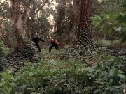 Filename=extant_StarTrek_VOY_7x09_7x10-FleshAndBlood_2750.jpg
Filesize=291KiB
Dimensions=1200x900
Date added=Jan 13, 2020 extant_StarTrek_VOY_7x09_7x10-FleshAndBlood_2750.jpg