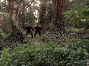 Filename=extant_StarTrek_VOY_7x09_7x10-FleshAndBlood_2753.jpg
Filesize=288KiB
Dimensions=1200x900
Date added=Jan 13, 2020 extant_StarTrek_VOY_7x09_7x10-FleshAndBlood_2753.jpg