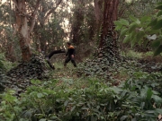 Filename=extant_StarTrek_VOY_7x09_7x10-FleshAndBlood_2754.jpg
Filesize=292KiB
Dimensions=1200x900
Date added=Jan 13, 2020 extant_StarTrek_VOY_7x09_7x10-FleshAndBlood_2754.jpg