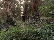 Filename=extant_StarTrek_VOY_7x09_7x10-FleshAndBlood_2755.jpg
Filesize=292KiB
Dimensions=1200x900
Date added=Jan 13, 2020 extant_StarTrek_VOY_7x09_7x10-FleshAndBlood_2755.jpg