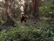 Filename=extant_StarTrek_VOY_7x09_7x10-FleshAndBlood_2756.jpg
Filesize=287KiB
Dimensions=1200x900
Date added=Jan 13, 2020 extant_StarTrek_VOY_7x09_7x10-FleshAndBlood_2756.jpg