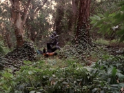 Filename=extant_StarTrek_VOY_7x09_7x10-FleshAndBlood_2761.jpg
Filesize=295KiB
Dimensions=1200x900
Date added=Jan 13, 2020 extant_StarTrek_VOY_7x09_7x10-FleshAndBlood_2761.jpg