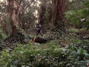 Filename=extant_StarTrek_VOY_7x09_7x10-FleshAndBlood_2762.jpg
Filesize=296KiB
Dimensions=1200x900
Date added=Jan 13, 2020 extant_StarTrek_VOY_7x09_7x10-FleshAndBlood_2762.jpg