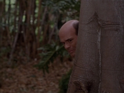 Filename=extant_StarTrek_VOY_7x09_7x10-FleshAndBlood_2764.jpg
Filesize=149KiB
Dimensions=1200x900
Date added=Jan 13, 2020 extant_StarTrek_VOY_7x09_7x10-FleshAndBlood_2764.jpg