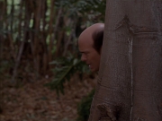 Filename=extant_StarTrek_VOY_7x09_7x10-FleshAndBlood_2765.jpg
Filesize=143KiB
Dimensions=1200x900
Date added=Jan 13, 2020 extant_StarTrek_VOY_7x09_7x10-FleshAndBlood_2765.jpg