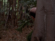 Filename=extant_StarTrek_VOY_7x09_7x10-FleshAndBlood_2766.jpg
Filesize=141KiB
Dimensions=1200x900
Date added=Jan 13, 2020 extant_StarTrek_VOY_7x09_7x10-FleshAndBlood_2766.jpg
