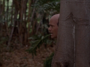 Filename=extant_StarTrek_VOY_7x09_7x10-FleshAndBlood_2767.jpg
Filesize=142KiB
Dimensions=1200x900
Date added=Jan 13, 2020 extant_StarTrek_VOY_7x09_7x10-FleshAndBlood_2767.jpg