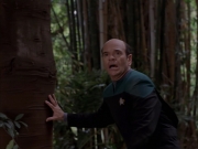 Filename=extant_StarTrek_VOY_7x09_7x10-FleshAndBlood_2773.jpg
Filesize=139KiB
Dimensions=1200x900
Date added=Jan 13, 2020 extant_StarTrek_VOY_7x09_7x10-FleshAndBlood_2773.jpg